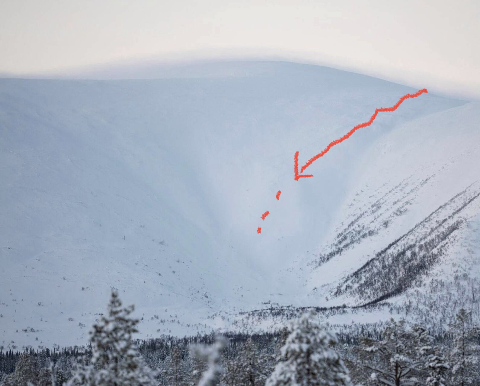 Kuva luonnossa suoraan edestäpäin