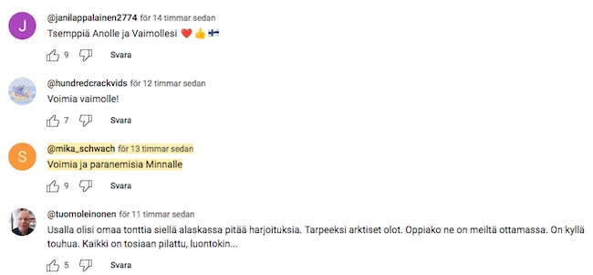 EX_VKK_MS_voimia.jpg