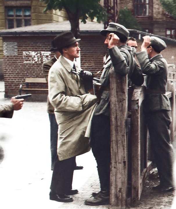 denmark 1945.jpg