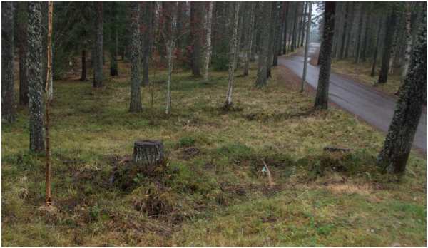 Leppävirta.jpg