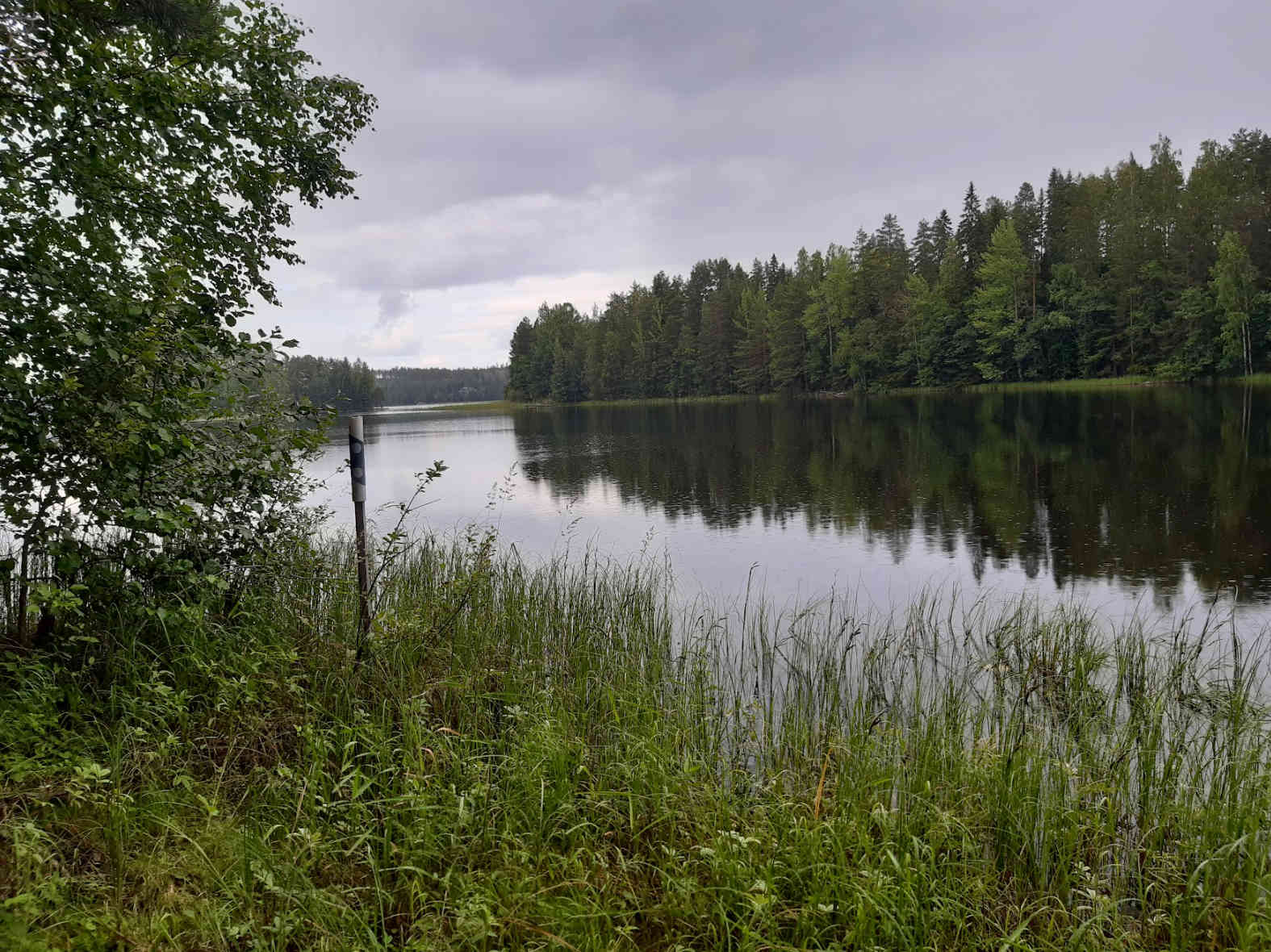 tulilahti1.jpg