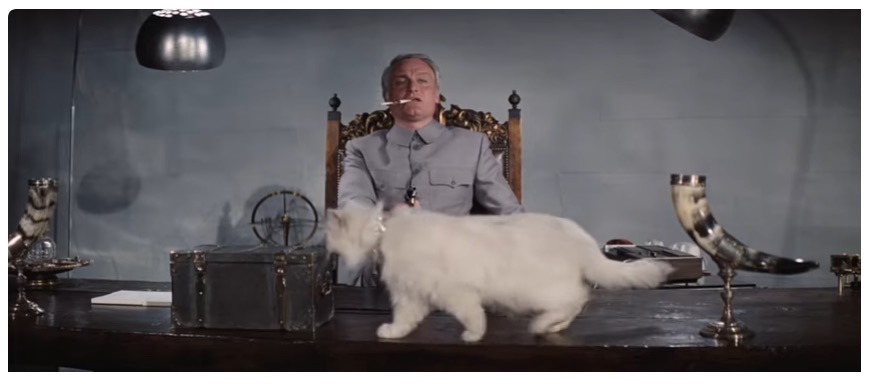 Blof_Salomon_the_cat.jpg