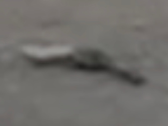 VantaanPyssy.jpg