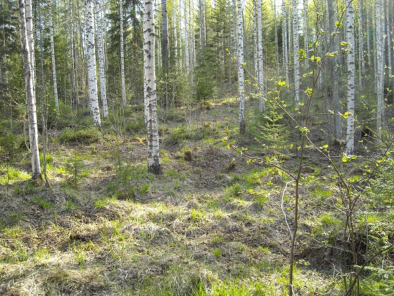 DSCN0488.jpg