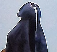 Vangittu.jpg