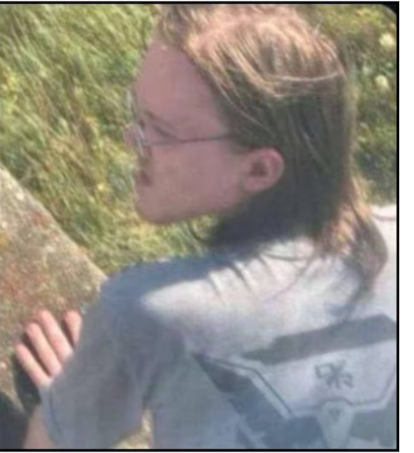 delannu nörtti.jpeg