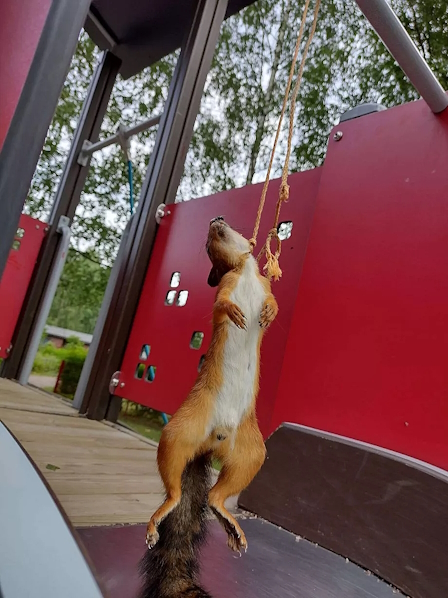 Hikiällä.jpg