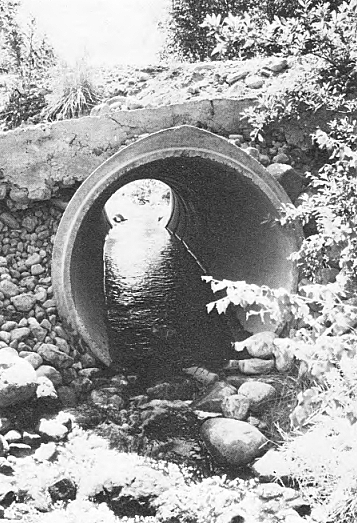 Siltarumpu.jpg