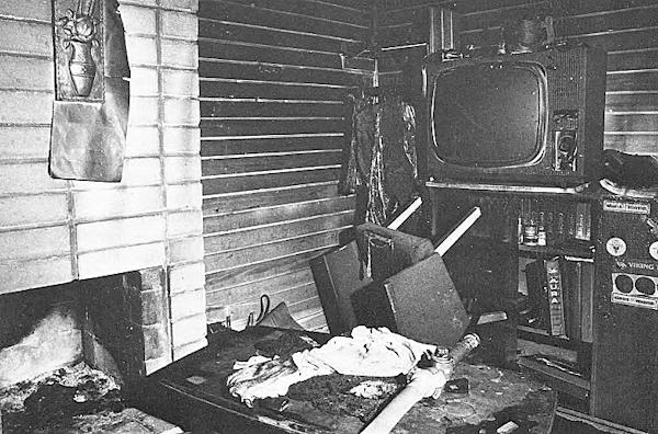 Jokisen 1980 tekemän murhapolton satoa.jpg