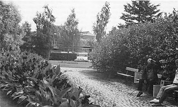 Juopporemmin käyttämiä penkkejä Fellmannin puistossa. Vasemmalla oleva kukkapenkki rajaa näkyvyyden lammelle. Taustalla Esson huoltoasema, mistä Aho lähti soittamaan sairasautoa.jpg