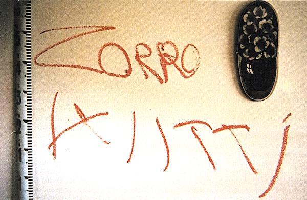 Zorro kiitti.jpg