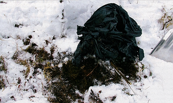 Antero Typön osoittamasta paikasta löytyi heti jätesäkin kappaleita.jpg