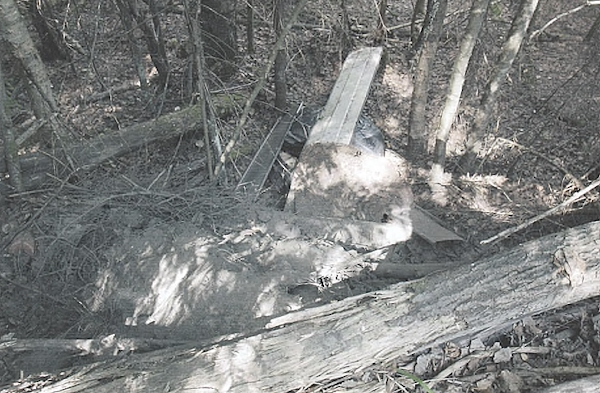 Metsäautotien ojanpenkalta roskien alta löydettiin jätesäkkeihin pakattu Esan ruumis.jpg