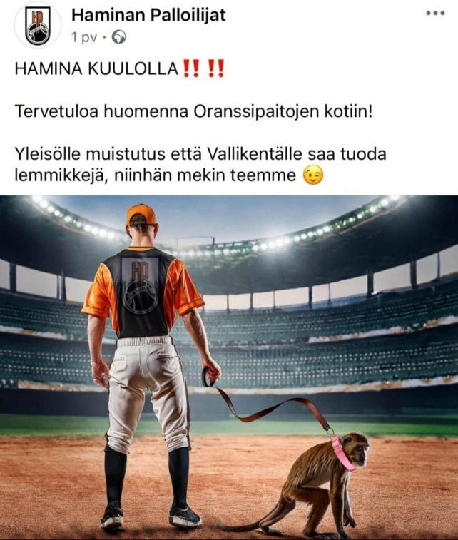 Haminaedustaariskillä