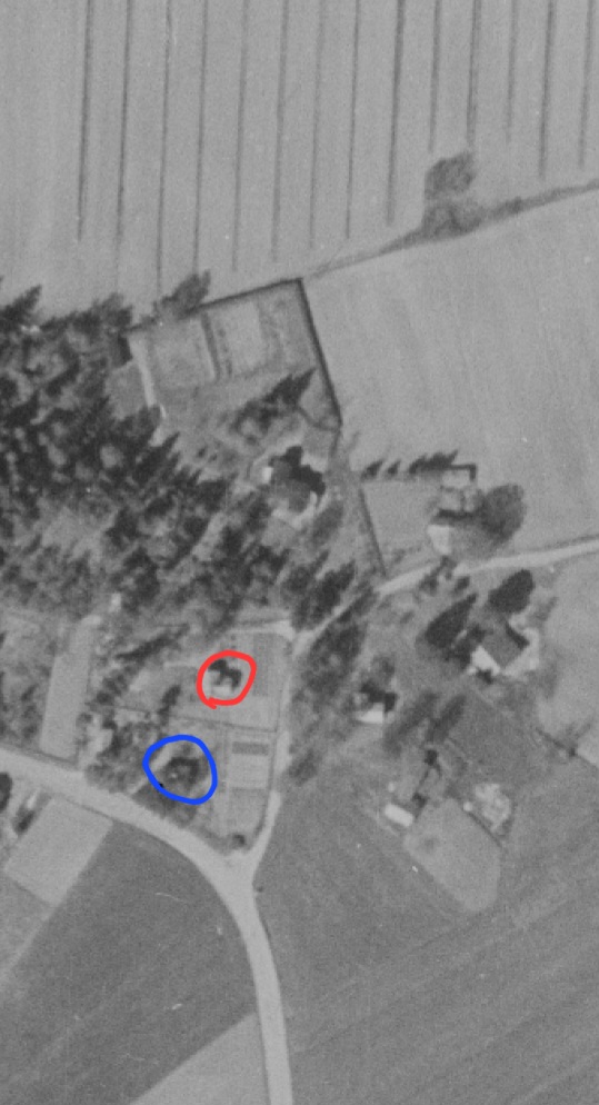 1956.jpg