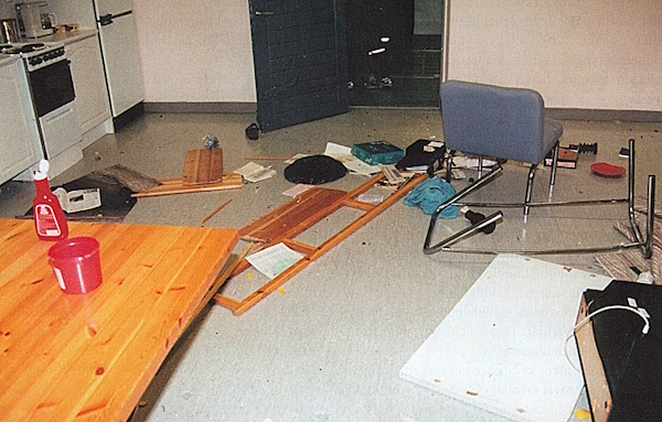 Juhlien jälkeen on siivouksen vuoro.jpg