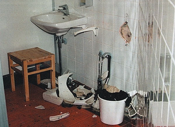Peseytymistilan sirpaleita.jpg