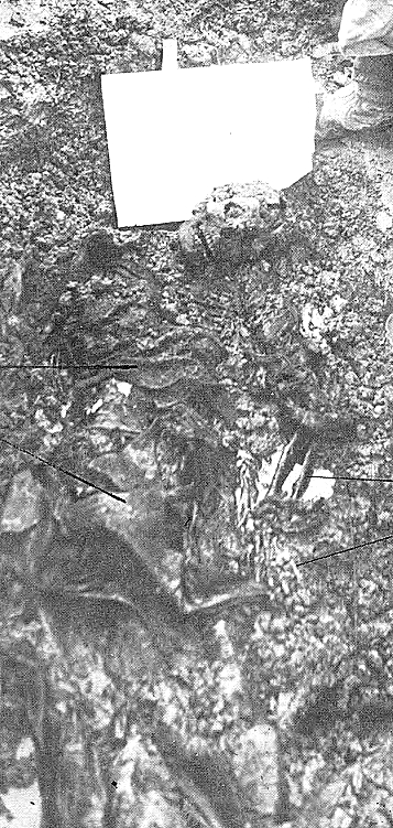 Lauri Artur Saarisen jäännökset sellaisena kuin ne 1.9.1961 tavattiin.jpg