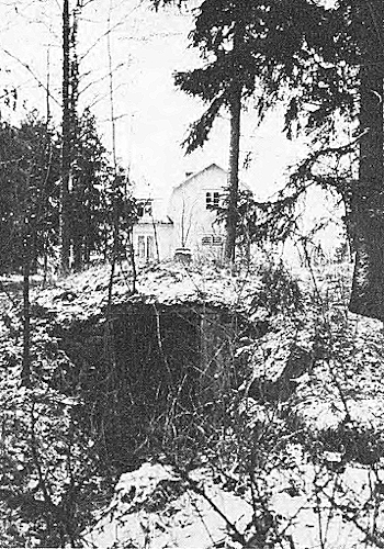Edessä hylätyn maakellarin ovi. Taustalla purkutuomion saanut huvila, jossa Vesa ja Aili yhdessä asustivat.jpg