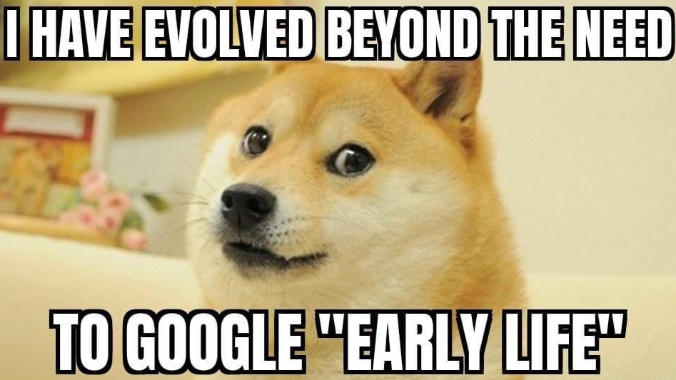 No early life needed