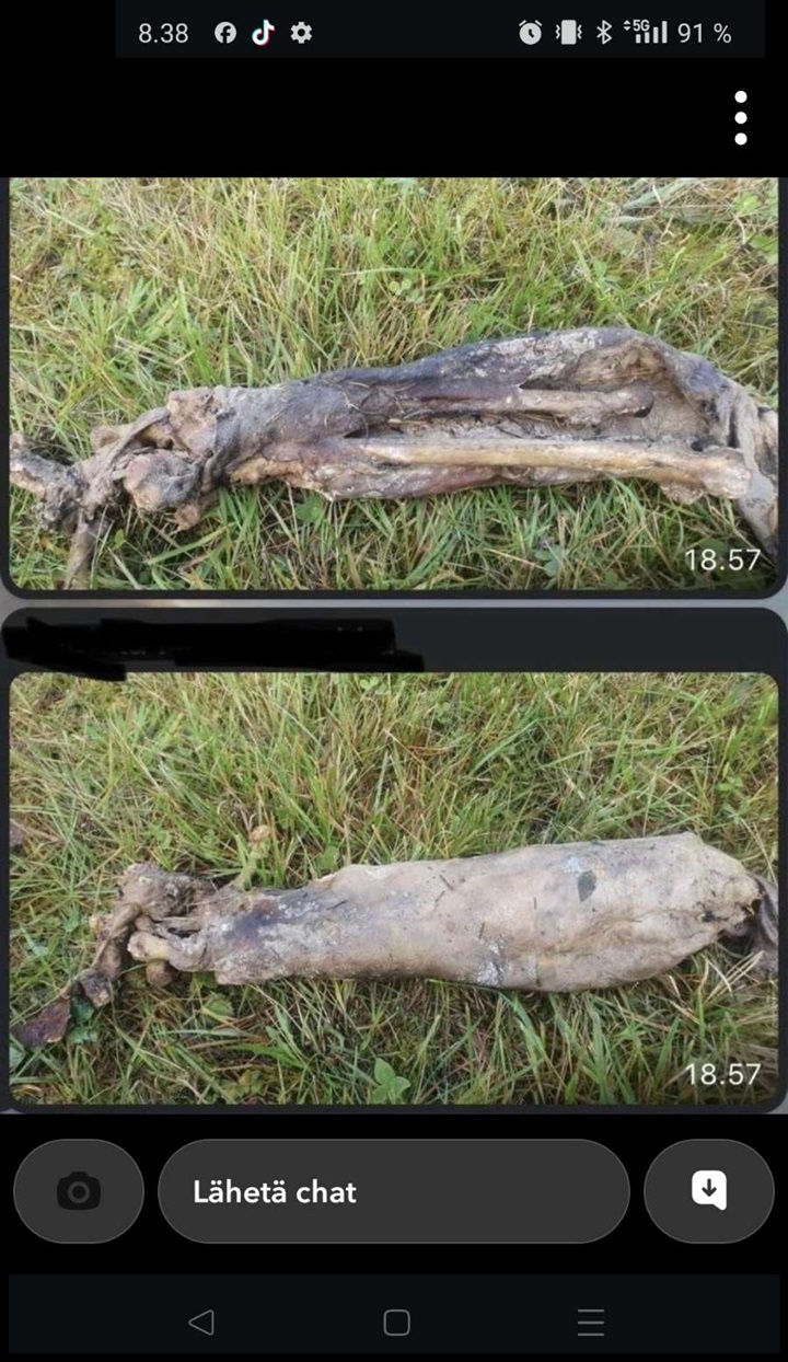 Snapchat-2084646269.jpg