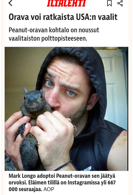 Iltalehti