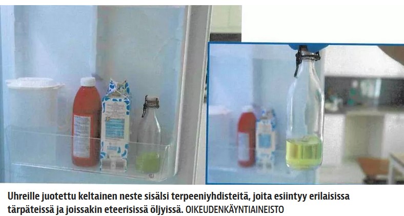 Jani Berglund - Nitta Skinnari.jpg