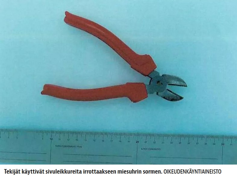 Jani Berglund - Nitta Skinnari _.jpg