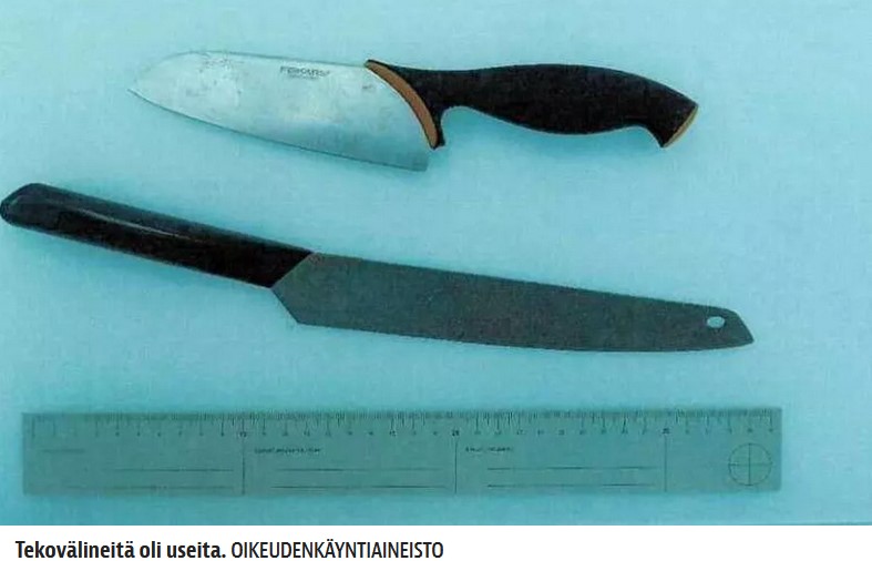 Jani Berglund - Nitta Skinnari _.jpg