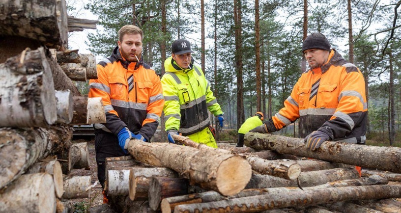 Vangit Joni Takala (vas.), George Savolainen ja Oleg Micshenko pinoavat rankoja retkeilijöitä varten Isojärven kansallispuistossa. Vankien kulkua vartioidaan jalkapantojen avulla. Kuva Timo Mustalampi.