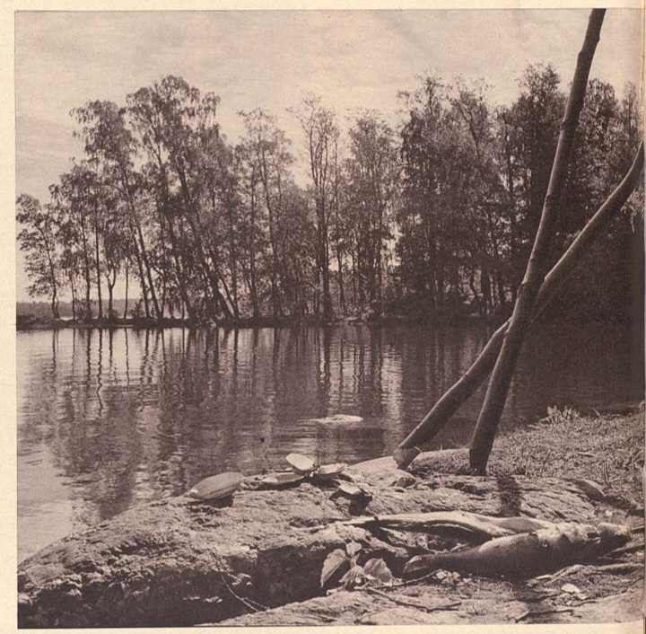 Keskiniemi.jpg