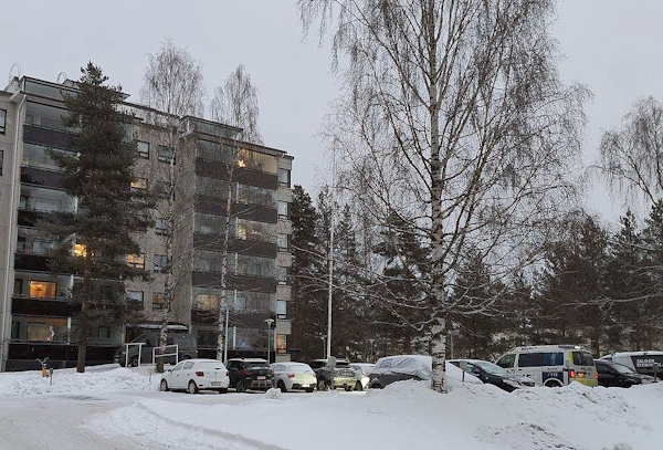 Vadelmakujalla.jpg