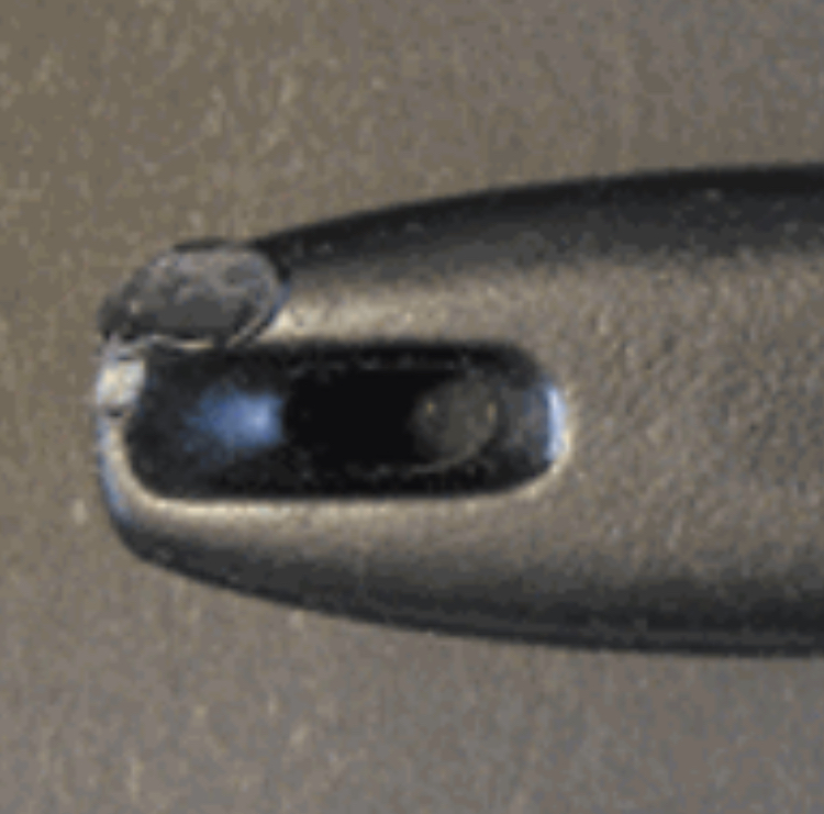 IMG_6229.jpeg