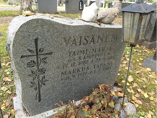 Murhamiehen matkan päätepiste.jpg