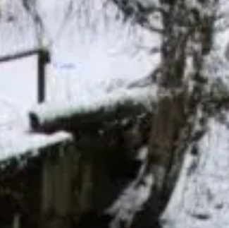 pölkky.png