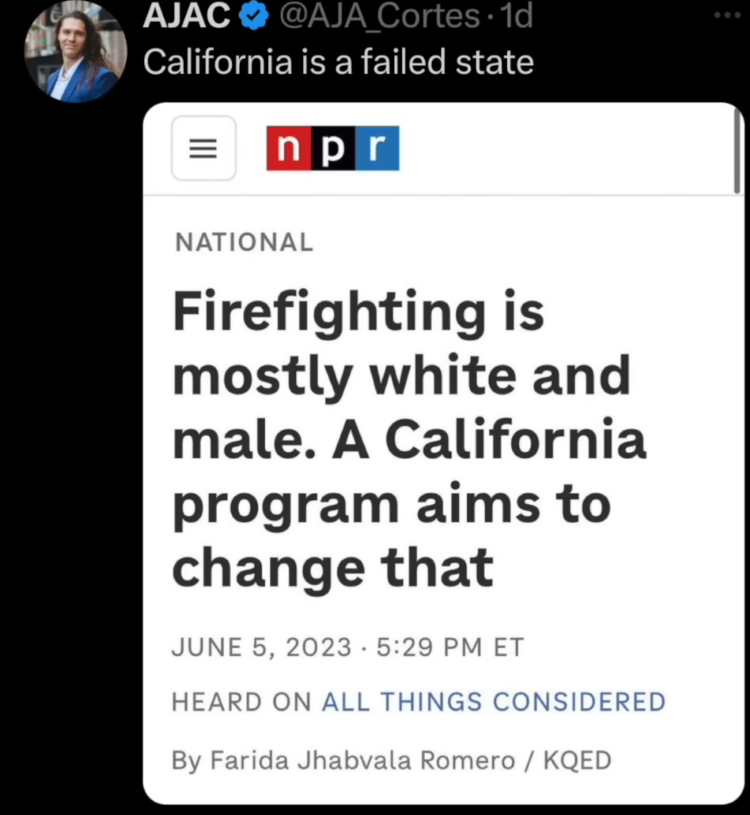 firefigting is racist.jpeg