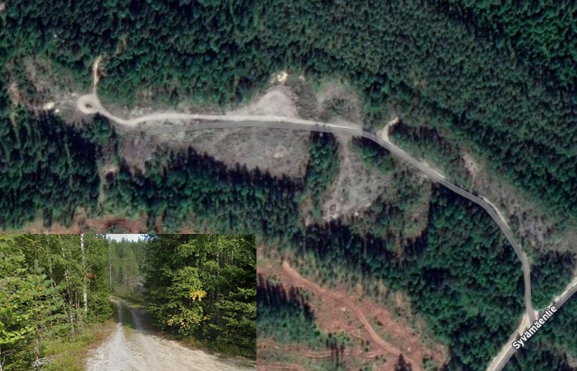 kuvat street view elokuu 2021 ja google maps