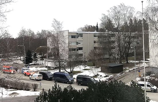 Pihlajamäessä.jpg
