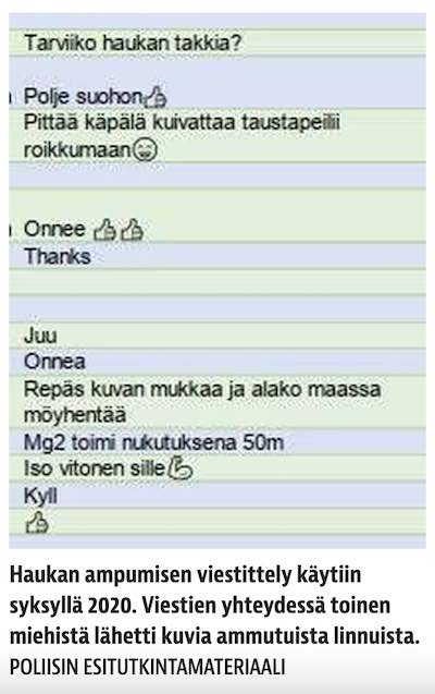 Haukantakki.jpg