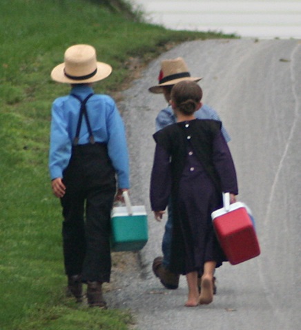 Amish_-_On_the_way_to_school_by_Gadjoboy-crop.jpg