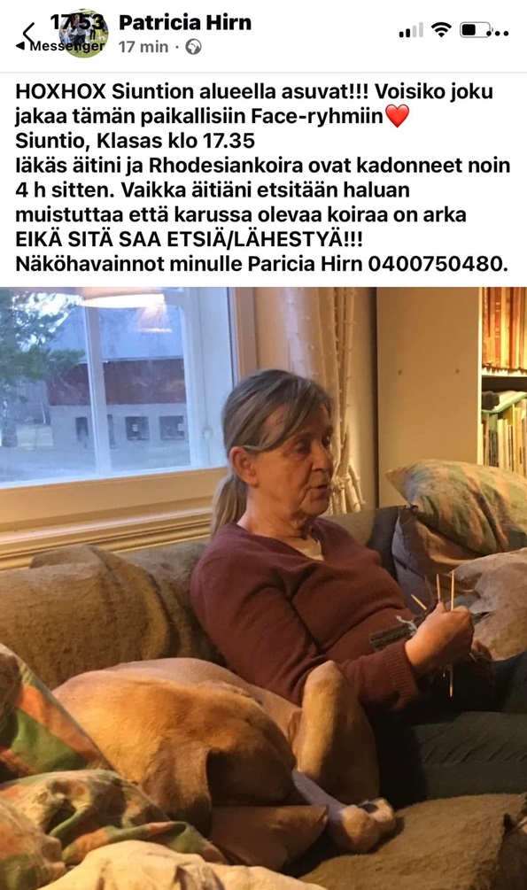 15321366.jpg
