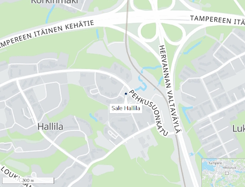 Sale Hallila.jpg