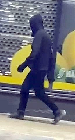 Jokioisten ryöstäjä.jpg