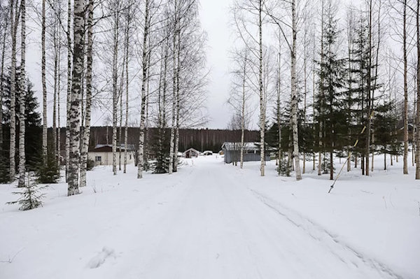 Puukotukset tapahtuivat pienen tien päässä olevissa uhrien kodeissa.jpg