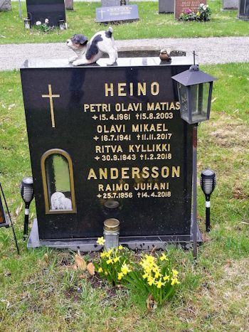 Raimo Juhani Andersson.jpg