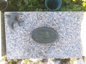 Satu Hannele Sallinen.jpg