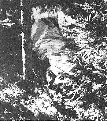 Turkka Elovirran ruumis muovipeitteeseen käärittynä Hyvinkäällä.jpg