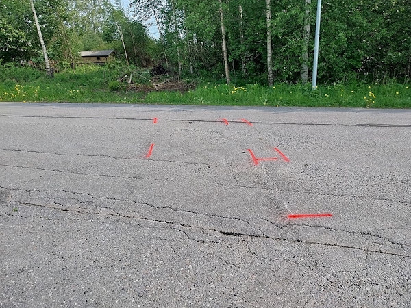 Kuvassa näkyy metsikkö, jonne poliisiauton ajo päättyi.jpg