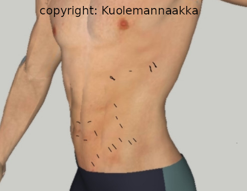 pistot.jpg