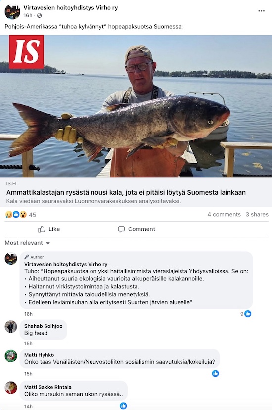Hopeapaksuotsa.jpg